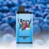 IGET Bar Pro 10000 Puffs Bar Pro blueberry ice